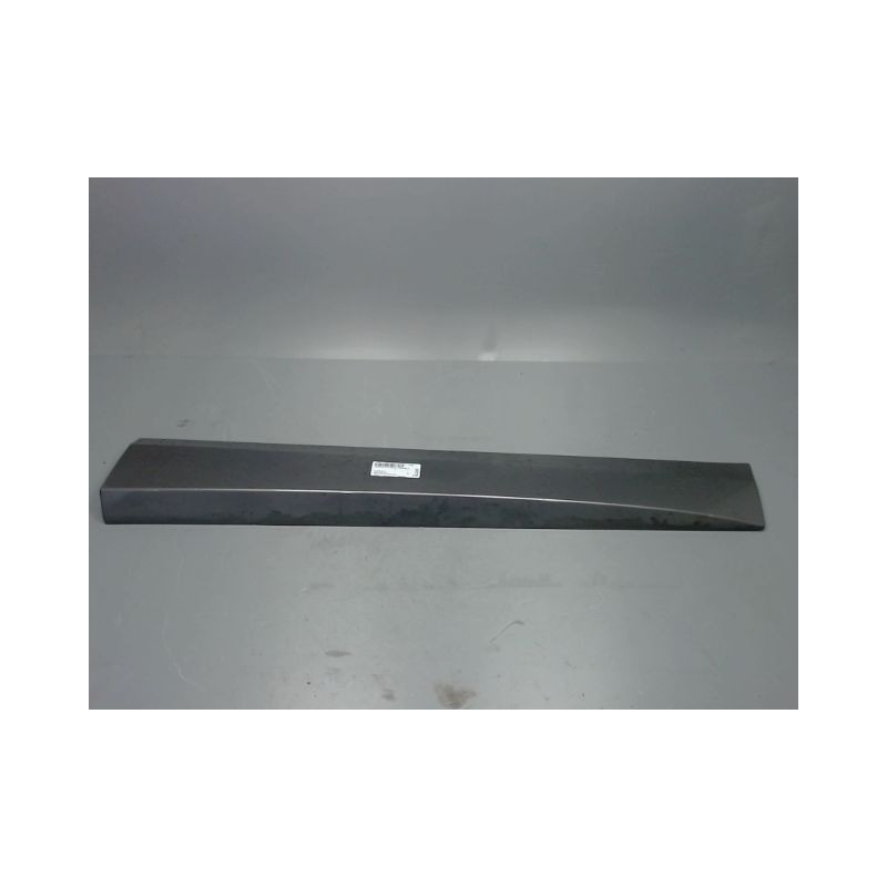 PROTECTION PORTE AVANT DROIT RENAULT SCENIC 3 PHASE 2 1.5 DCI - 8V