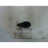 RESERVOIR LAVE-GLACE AVANT FORD KA 2008-