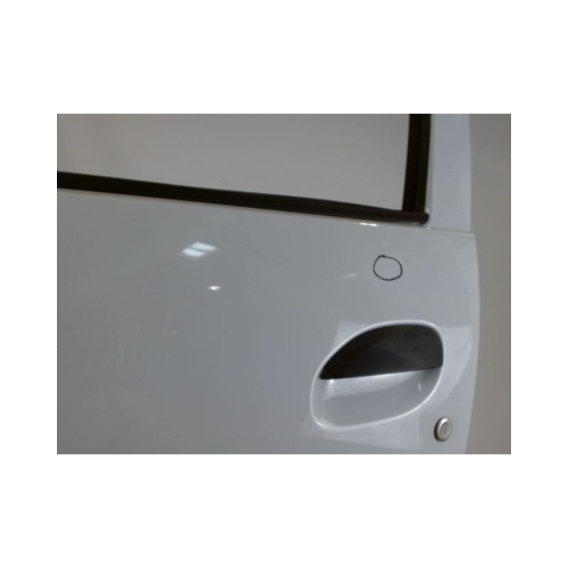 PORTE AVANT GAUCHE DACIA SANDERO