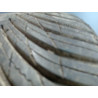 Pneu MAXXIS PREMITRA ALL SEASON AP3 215 50 17 95 W