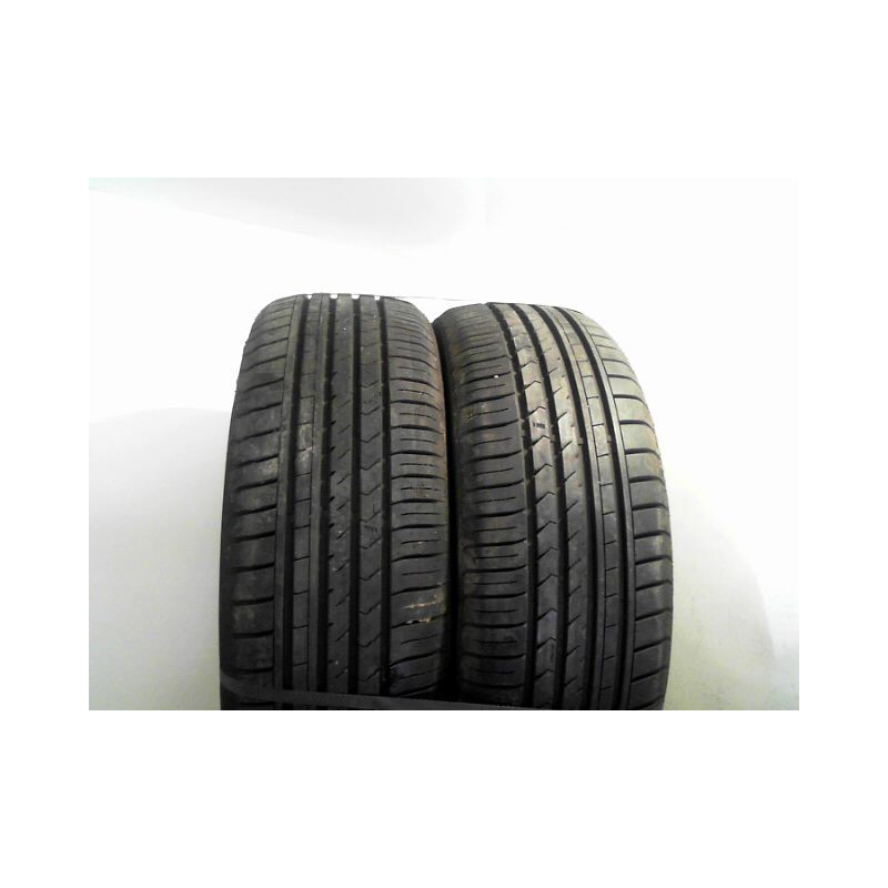 Paire de pneus WINRUN R330 195 55 16 91 V