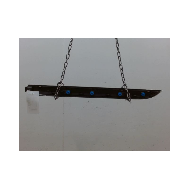 PROTECTION PORTE ARRIERE DROIT RENAULT CLIO