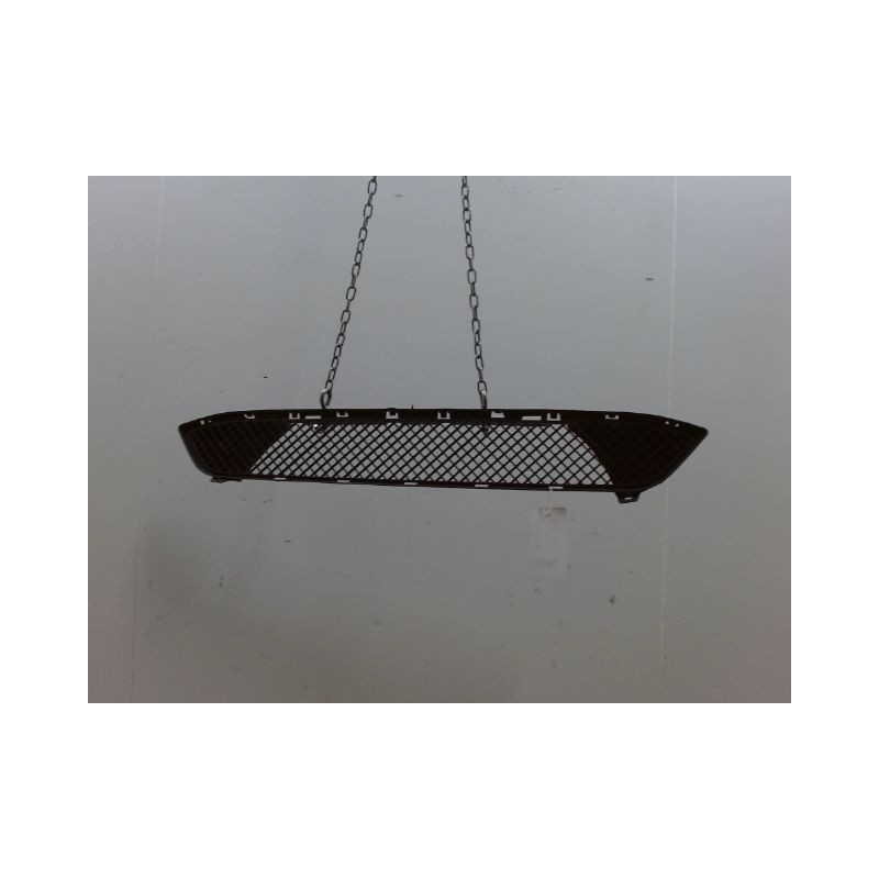 GRILLE PARE-CHOC AVANT BMW X1