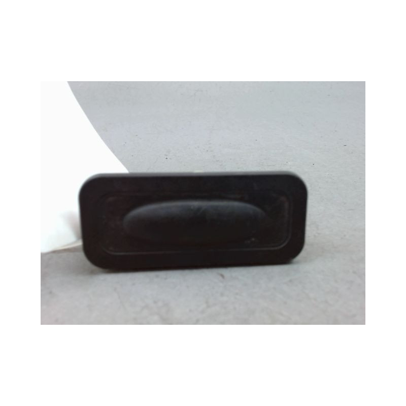 POIGNEE EXTERIEURE HAYON RENAULT CLIO IV Phase 1 2012-...