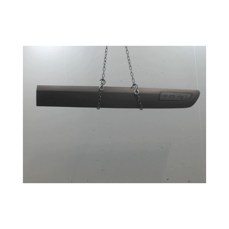 PROTECTION PORTE AVANT DROIT RENAULT ESPACE MONOSP. IV Phase 2 2006-2012