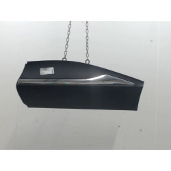 PROTECTION PORTE ARG