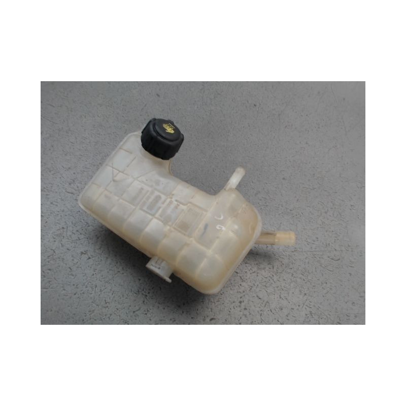 VASE EXPANSION RENAULT MEGANE