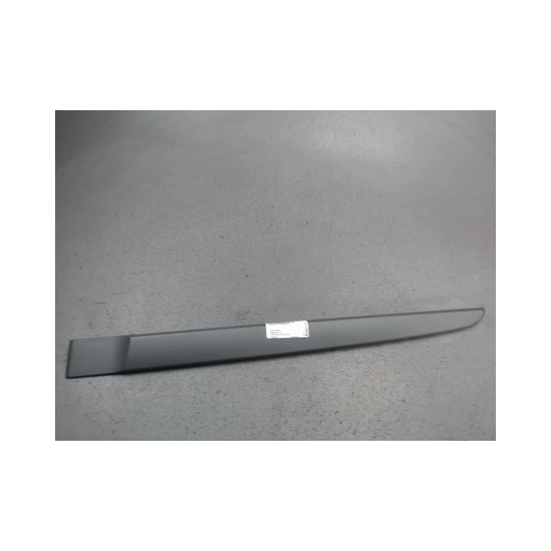 PROTECTION PORTE ARRIERE GAUCHE RENAULT MEGANE