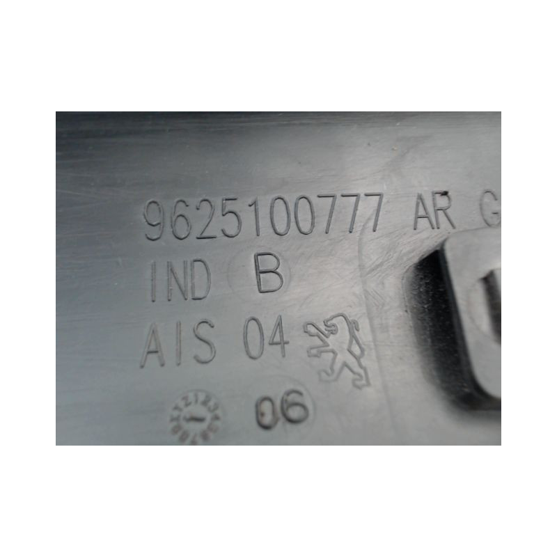 PROTECTION PORTE ARRIERE GAUCHE PEUGEOT 206