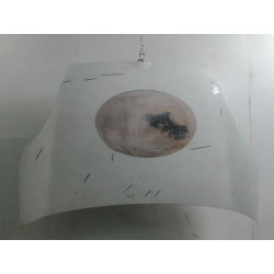 CAPOT