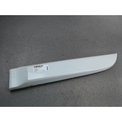 PROTECTION PORTE ARG