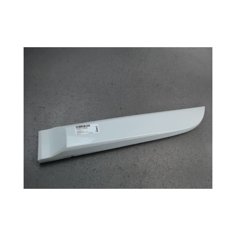 PROTECTION PORTE ARRIERE GAUCHE RENAULT MEGANE