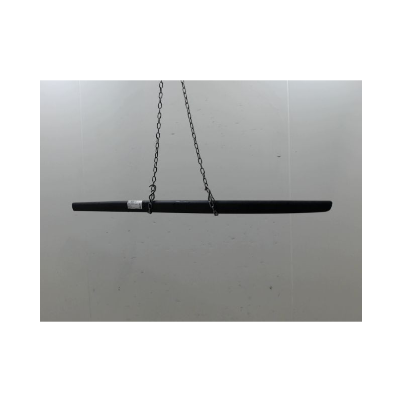 PROTECTION PORTE AVANT DROIT RENAULT TWINGO II Phase 1 2007-2011