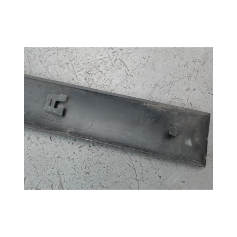 PROTECTION PORTE AVANT GAUCHE PEUGEOT 206