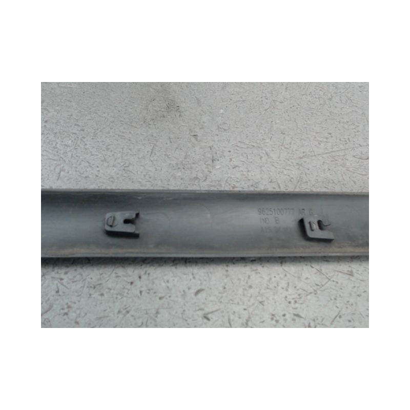 PROTECTION PORTE ARRIERE GAUCHE PEUGEOT 206