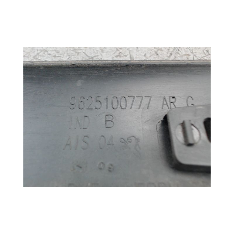 PROTECTION PORTE ARRIERE GAUCHE PEUGEOT 206