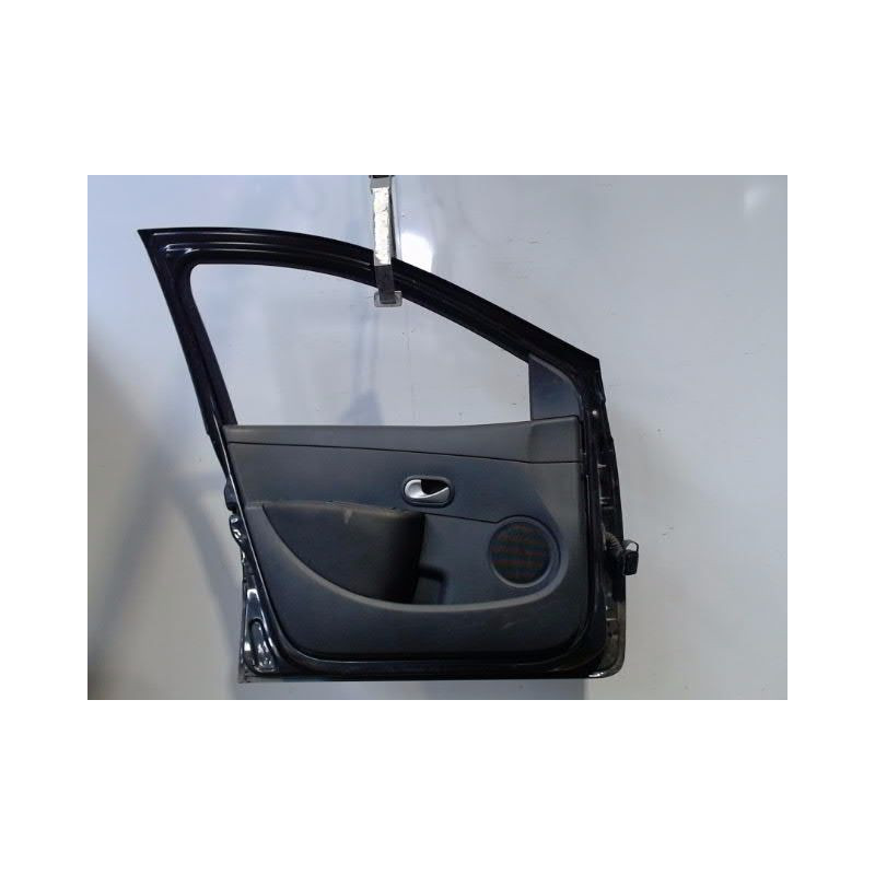 PORTE AVANT GAUCHE RENAULT CLIO III 2010-