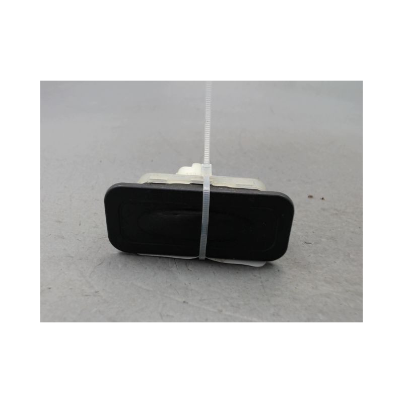 POIGNEE EXTERIEURE HAYON RENAULT CLIO III Phase 2 2009-2014