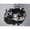 BOITE A VITESSE MECANIQUE RENAULT TWINGO PH.3 2000-2007 1.2 