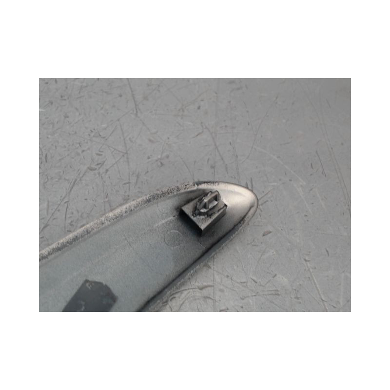 PROTECTION PORTE AVANT DROIT RENAULT MODUS