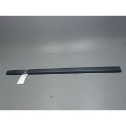 PROTECTION PORTE AVD