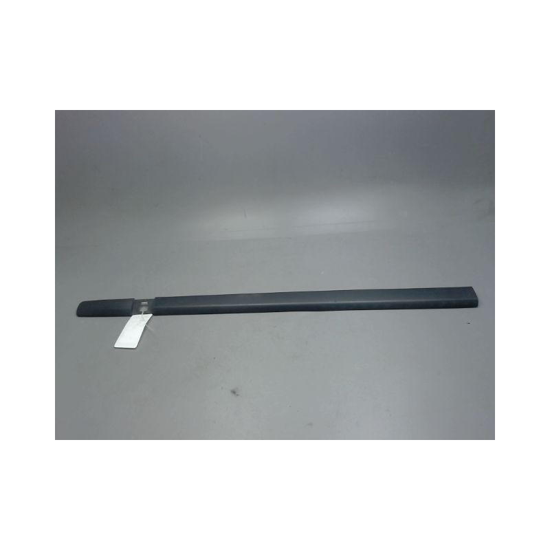 PROTECTION PORTE AVANT DROIT RENAULT CLIO III 2005-