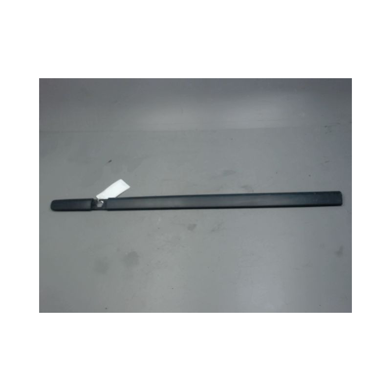 PROTECTION PORTE AVANT GAUCHE RENAULT CLIO III 2005-