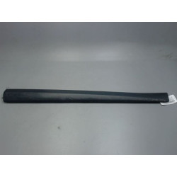 PROTECTION PORTE AVD