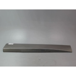 PROTECTION PORTE AVD