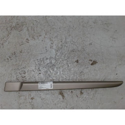 PROTECTION PORTE ARG