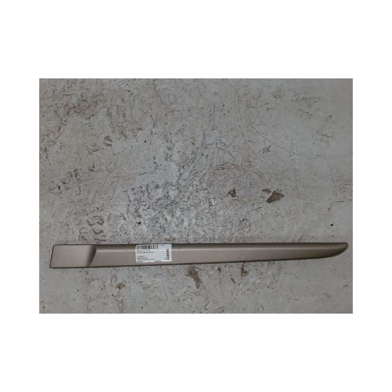 PROTECTION PORTE ARRIERE GAUCHE RENAULT CLIO III 2010-