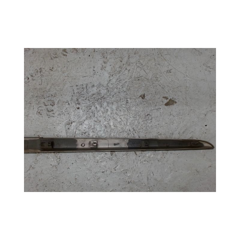 PROTECTION PORTE ARRIERE GAUCHE RENAULT CLIO III 2010-