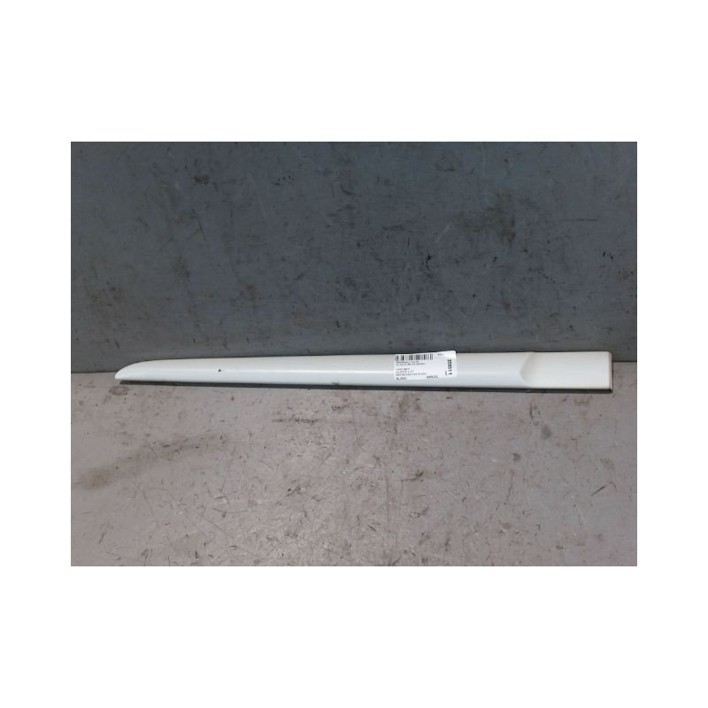 PROTECTION PORTE ARRIERE GAUCHE RENAULT CLIO III 2010-