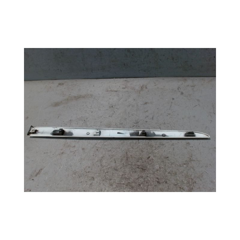 PROTECTION PORTE ARRIERE GAUCHE RENAULT CLIO III 2010-