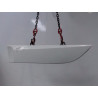 PROTECTION PORTE ARRIERE GAUCHE RENAULT SCENIC III 2009-
