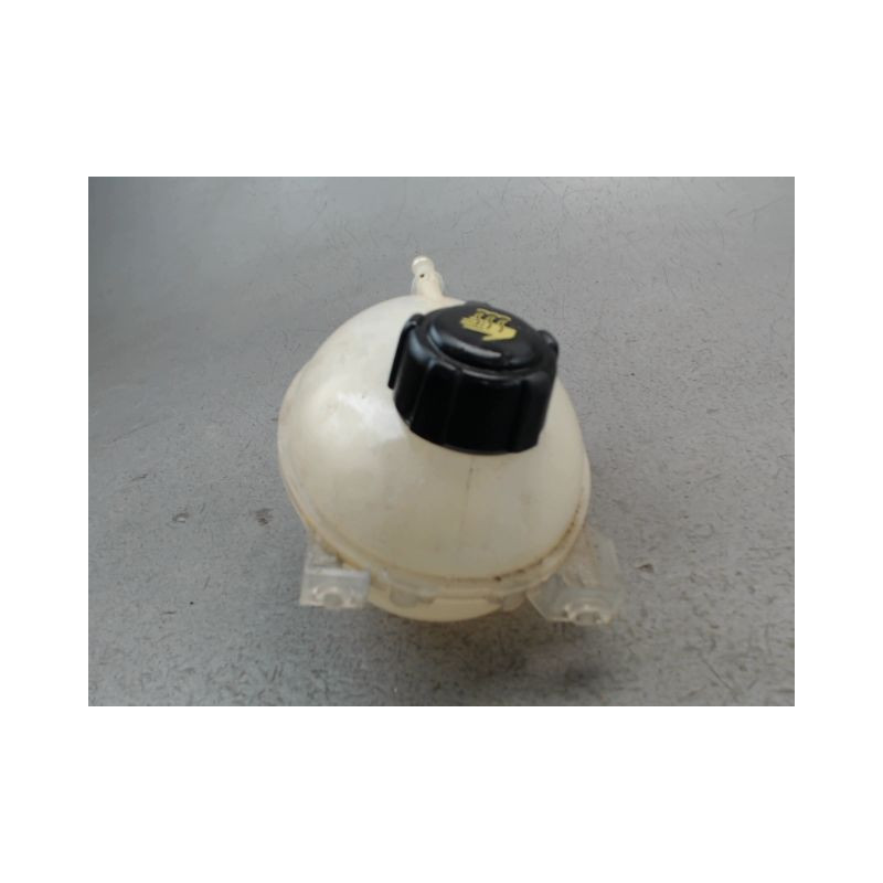 VASE EXPANSION RENAULT CLIO