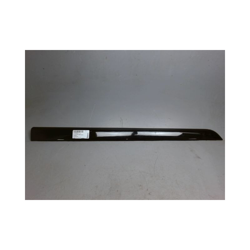 PROTECTION PORTE AVANT DROIT CITROEN C4 PICASSO LONG