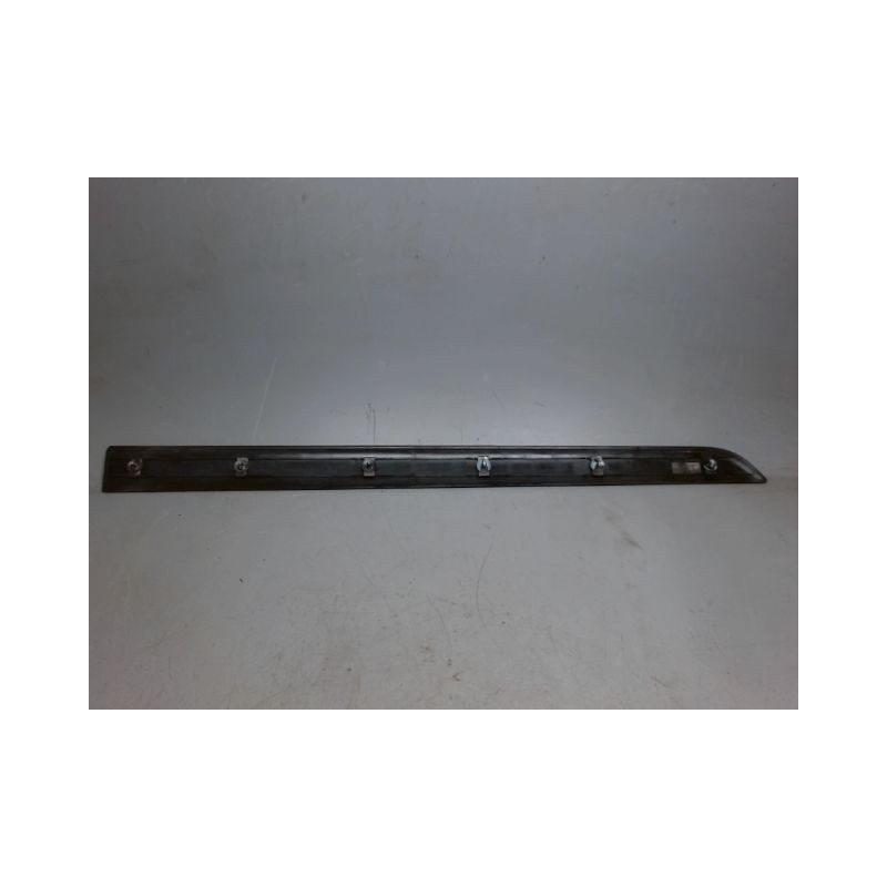 PROTECTION PORTE AVANT GAUCHE CITROEN C4 PICASSO LONG