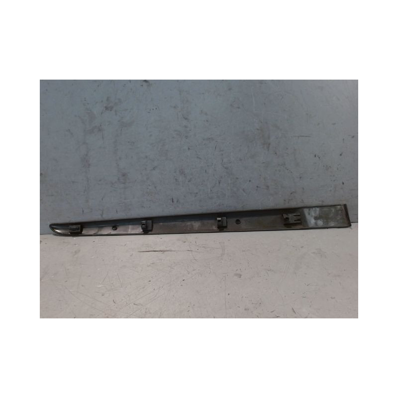 PROTECTION PORTE ARRIERE GAUCHE RENAULT CLIO III ESTATE 2008-