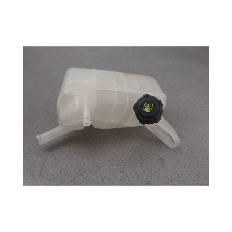 VASE EXPANSION RENAULT MEGANE