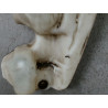 RESERVOIR LAVE-GLACE AVANT CITROEN BERLINGO BREAK -2002