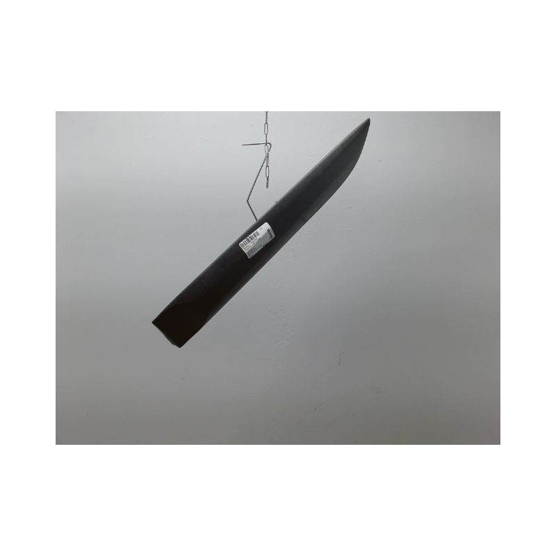 PROTECTION PORTE ARRIERE GAUCHE RENAULT MEGANE III 2008-