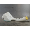 RESERVOIR LAVE-GLACE AVANT FORD FIESTA 2005-