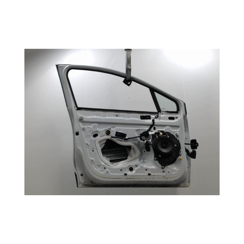 PORTE AVANT GAUCHE RENAULT CLIO IV Phase 1 2012-...