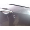 PORTE ARRIERE DROIT RENAULT MODUS 2004-2007