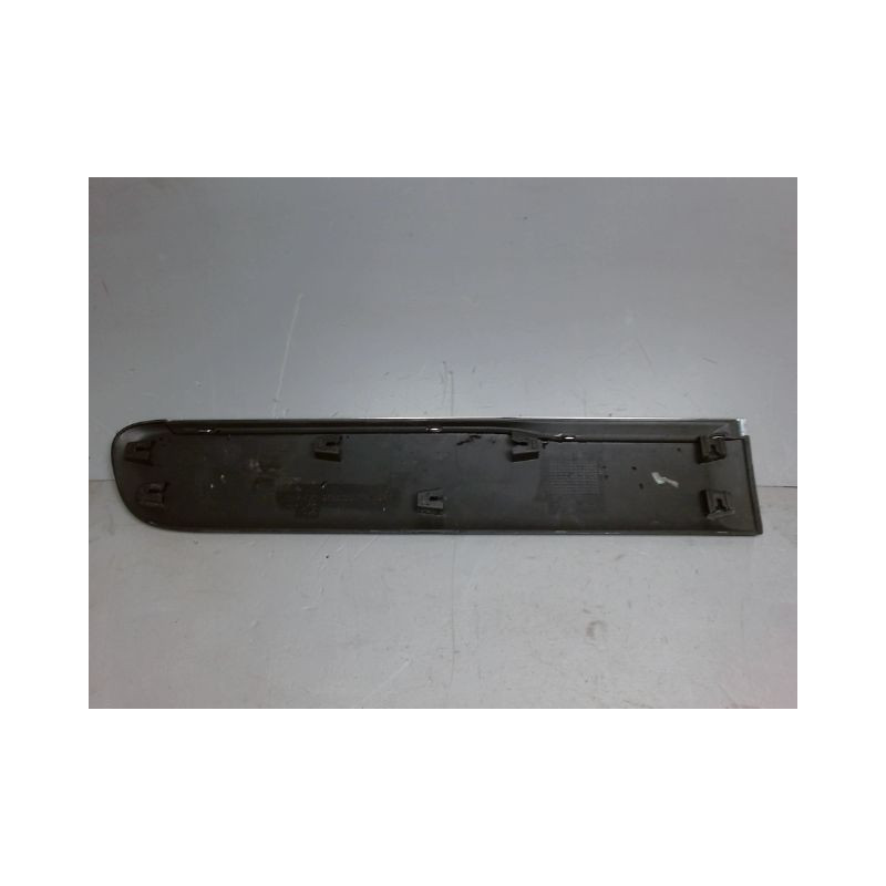 PROTECTION PORTE ARRIERE GAUCHE CITROEN C3
