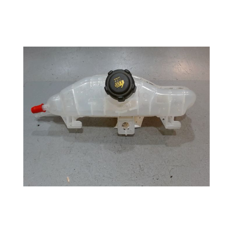 VASE EXPANSION RENAULT CLIO