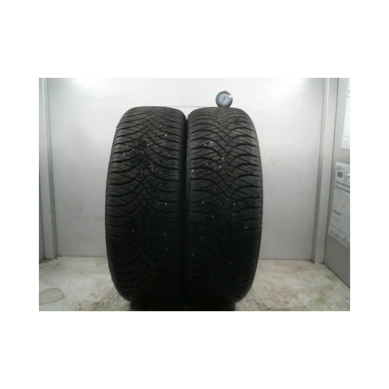 Paire de pneus WESTLAKE ALL SEASON ELITE Z 401 195 55 16 91 V
