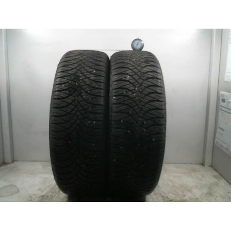 Paire de pneus WESTLAKE ALL SEASON ELITE Z 401 195 55 16 91 V