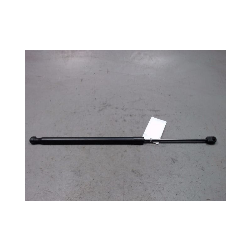 VERIN GAUCHE HAYON RENAULT SCENIC II PH1 02-06
